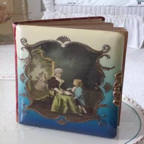 Antique Victorian Celluloid Photo Album