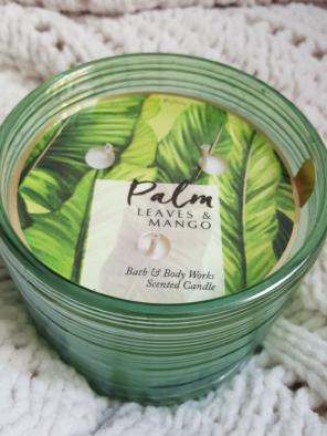 palm leaves and mango 3 wick