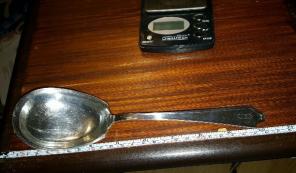 Sterling Nut Spoon