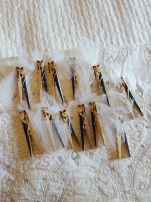 Bride & Groom Clothes Pins