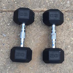 20lb Dumbbells