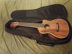 Mitchell ukulele
