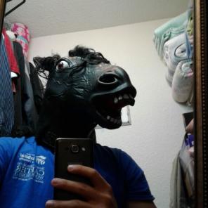 Horse Mask