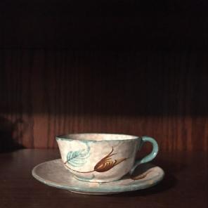 Teacup And Saucer Plant