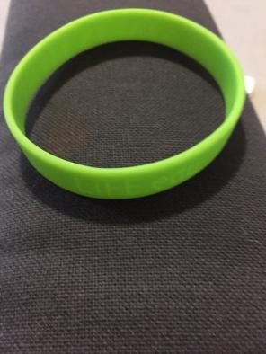 Life Education Wristband