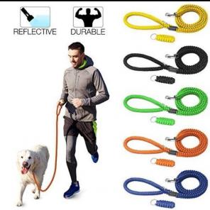 New 6ft Paracord Reflective Dog Leash