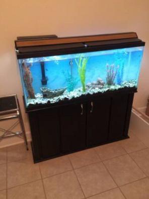 48" Aquarium Hood In Oak