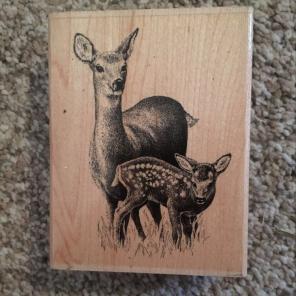 Stampin Up Deer Stamp Detailed
