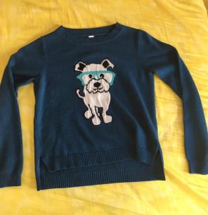 Cute Puppy Sweater For Girls