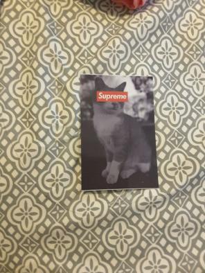 Cat supreme sticker