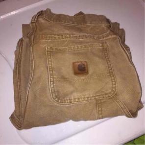 Carhart pants