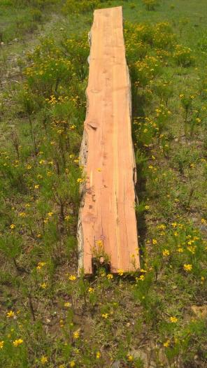)stunning Eastern Red Cedar is 3x10x10