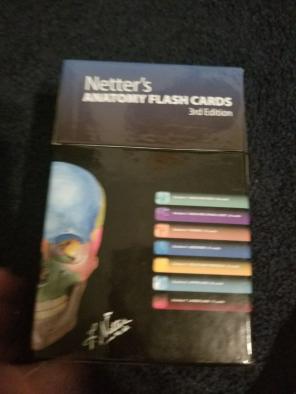 Netters anatomy flashcards