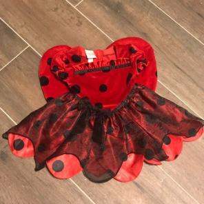 6-9m Ladybug Costume