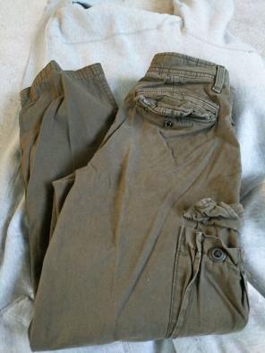 American Eagle Olive Cargo Pants 28x30
