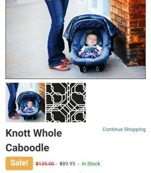 Carseat canopy caboodle set