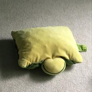 Gay Turtle Pillow For Kids