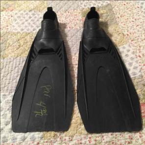 Swim fins