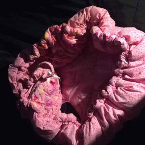 Baby cart cover