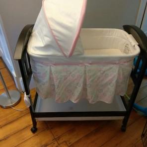 Baby Girl Bassinet
