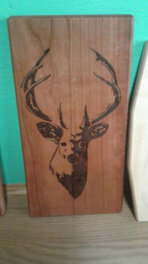 Whitetail deer woodburning
