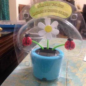 Solar Daisy motion