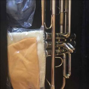 Eastman Trumpet ETR420G