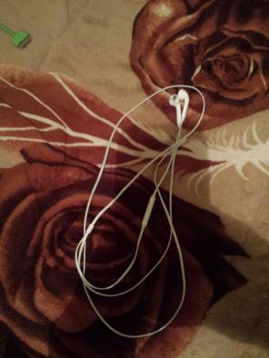 Iphone earbuds