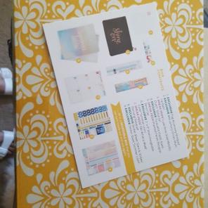 Erin Condren summer box!!