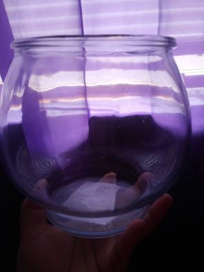 Fish bowl