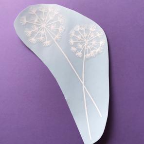 White Dandelions Decal