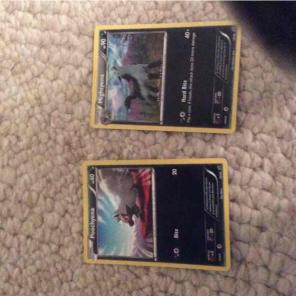 Poochyena And Mightyena Pokémon card