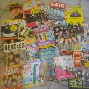 Beetles