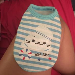 Dog Clothes