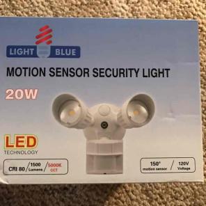 Motion security light