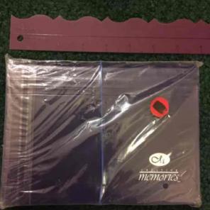 Creative Memories 8x6 file organizer