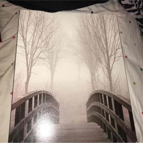 Bridge painting