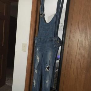 Distressed Denim Overalls