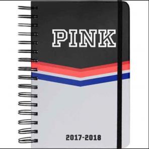 VS Pink Planner