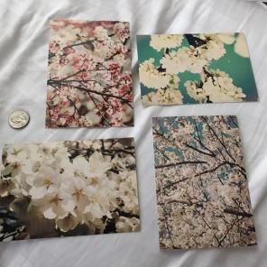 8 Pcs Vintage Flower Postcards