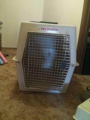 Dog Cage
