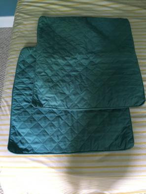 Two Max Studio Pillow Shams