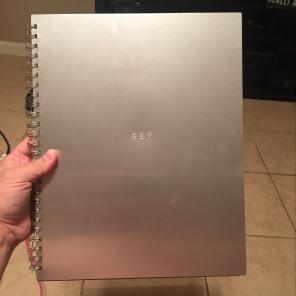 Madonna Sex Book