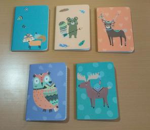 OOLY Pocket Journals (3.5" x 5")