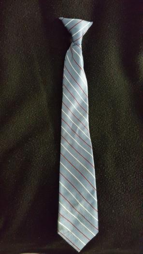 Boy's Clip On Tie