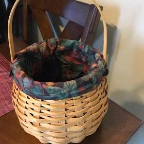 Longaberger Basket with Handle and Liner