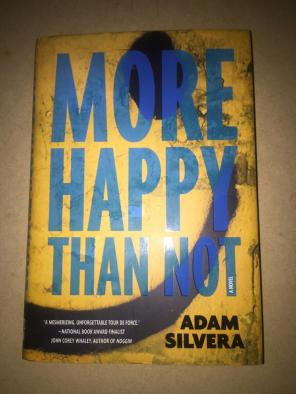 More Happy than Not YA Novel