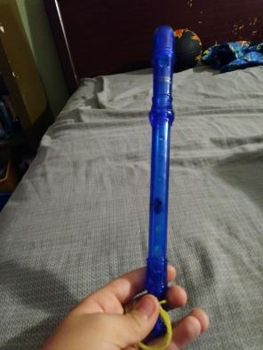 Blue recorder