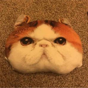 Kitty Pillow