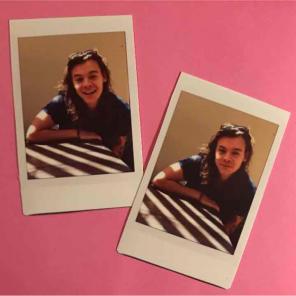 harry styles polaroids// polaroid pair